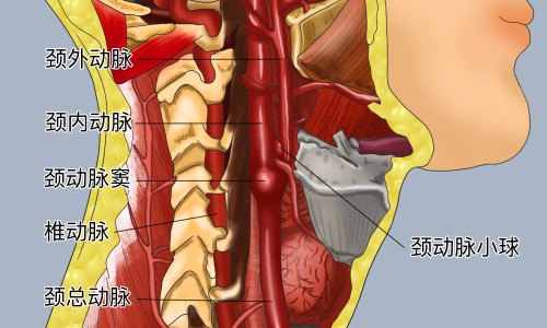 温泉的功效和作用-温泉的的功效网 - 网站提供温泉对人体的功效与作用小常识、温泉对人体的功效与作用